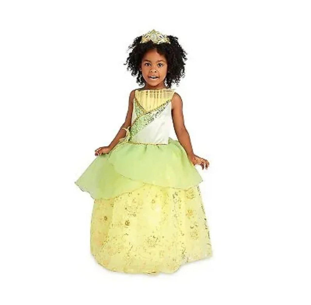 Disney Princess Tiana Costume 7/8