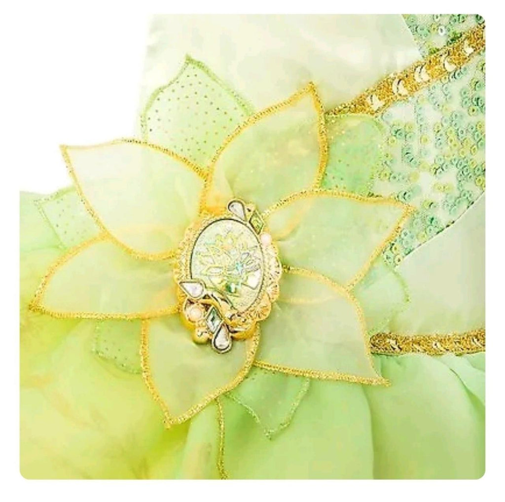 Disney Princess Tiana Costume 7/8