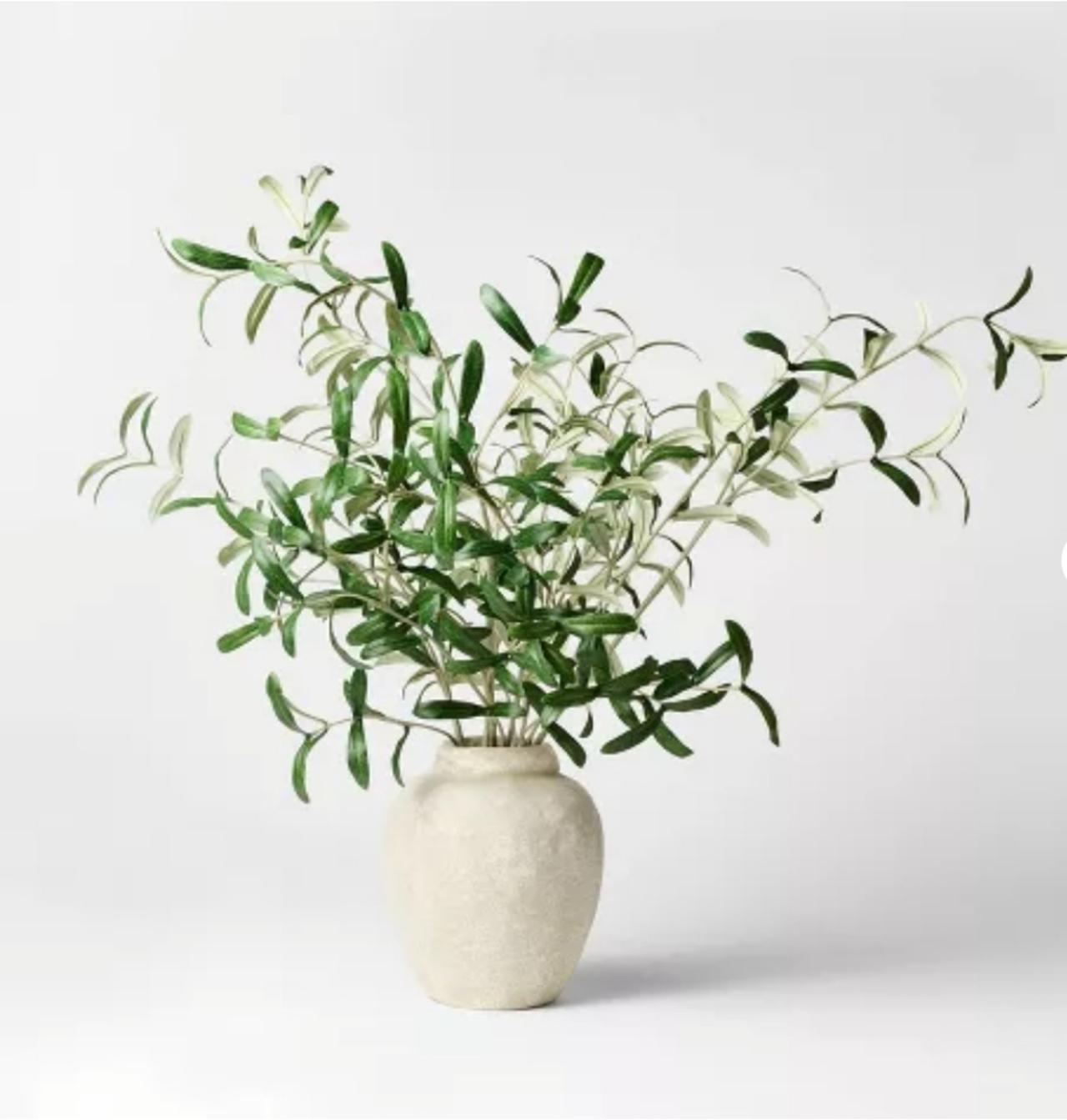 Olive Leaf Potted Arrangement from Threshold with Studio McGee