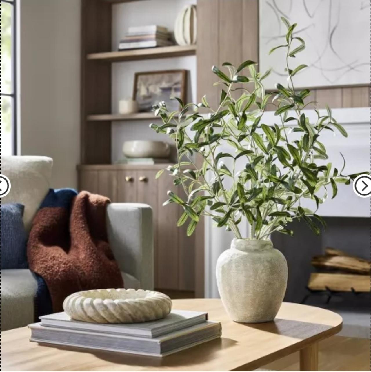 Olive Leaf Potted Arrangement from Threshold with Studio McGee