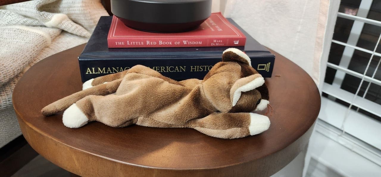 TY BEANIE BABIES COLLECTION POUNCE THE CAT 1997 RETIRED