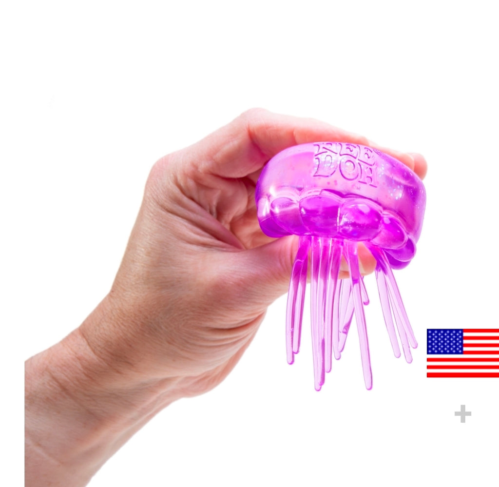 Schylling NeeDoh® Jelly Squish Assorted