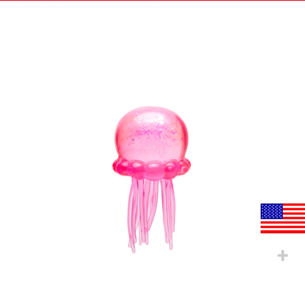 Schylling NeeDoh® Jelly Squish Assorted